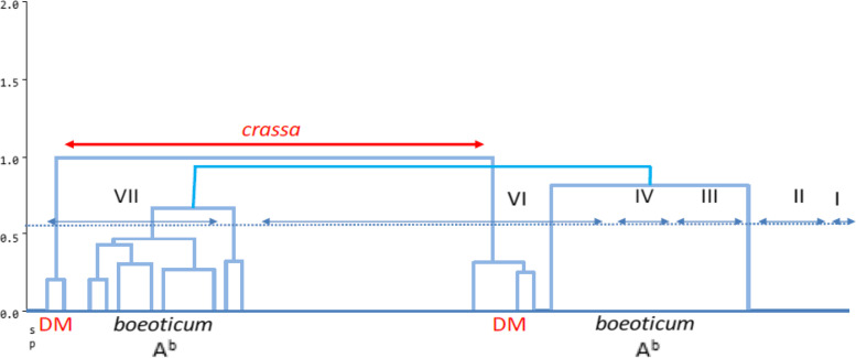 PMC10310646 – Fig4
