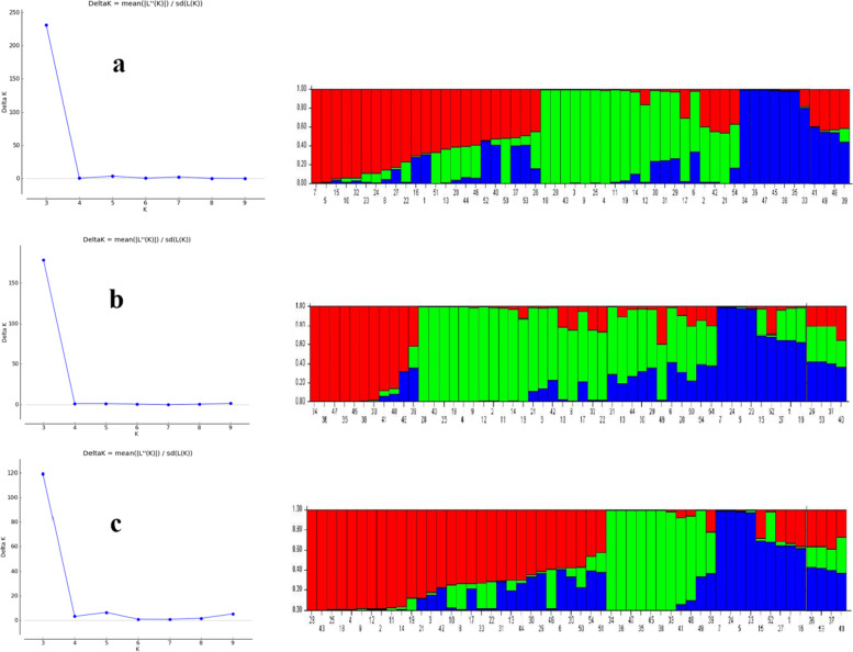 PMC10310646 – Fig6