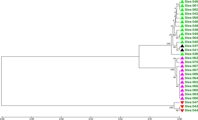 PMC10643773 – Fig3