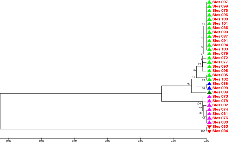 PMC10643773 – Fig5