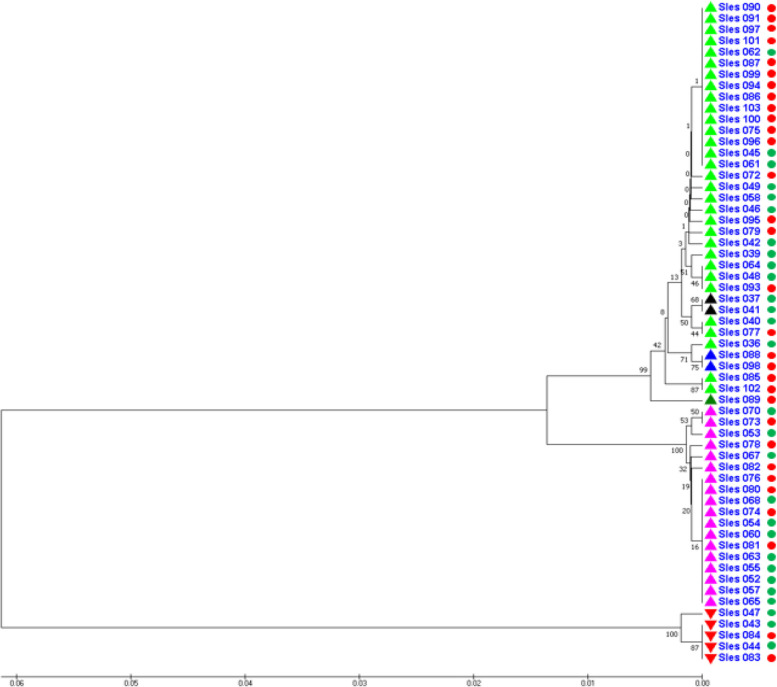 PMC10643773 – Fig7