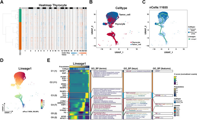 PMC10645658 – Fig3