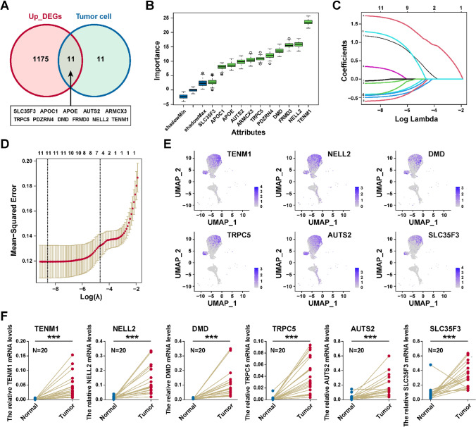 PMC10645658 – Fig6