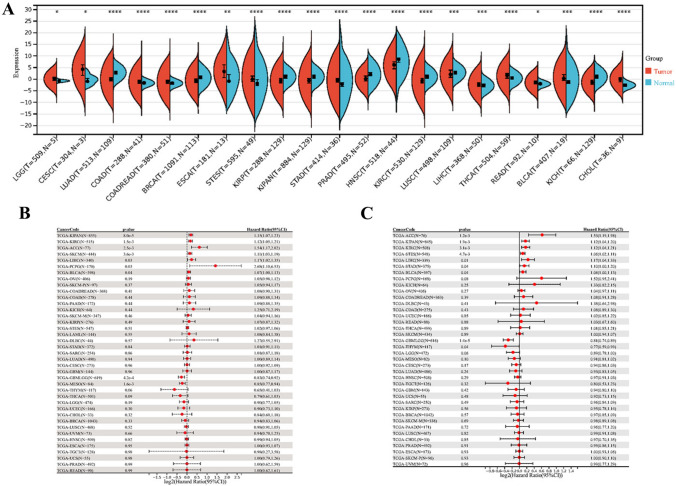 PMC10933153 – Fig1