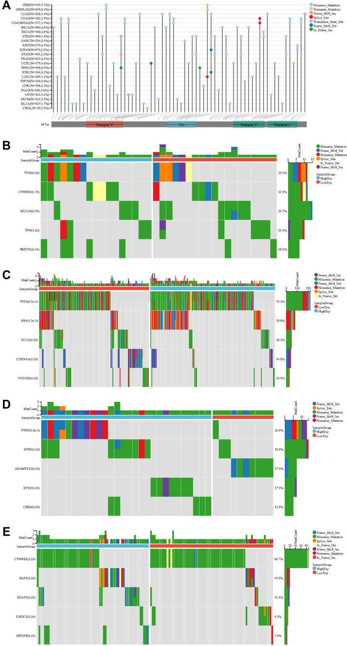 PMC10933153 – Fig4