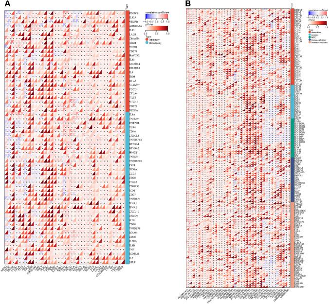 PMC10933153 – Fig5