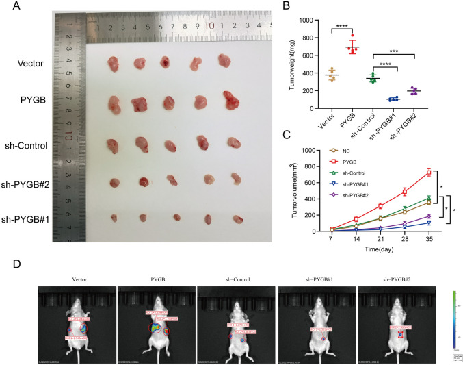 PMC10940407 – Fig10