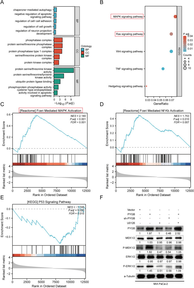 PMC10940407 – Fig11