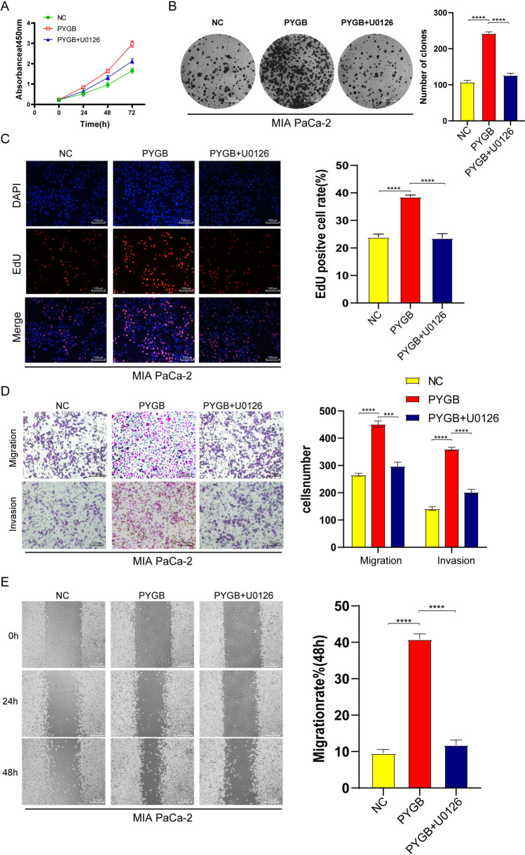PMC10940407 – Fig12
