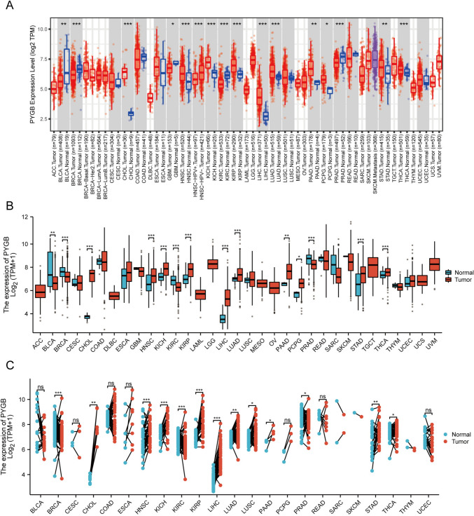 PMC10940407 – Fig3