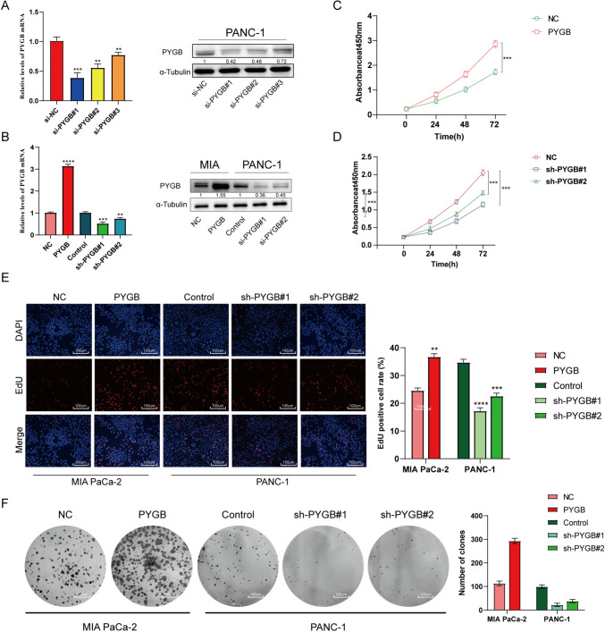PMC10940407 – Fig8