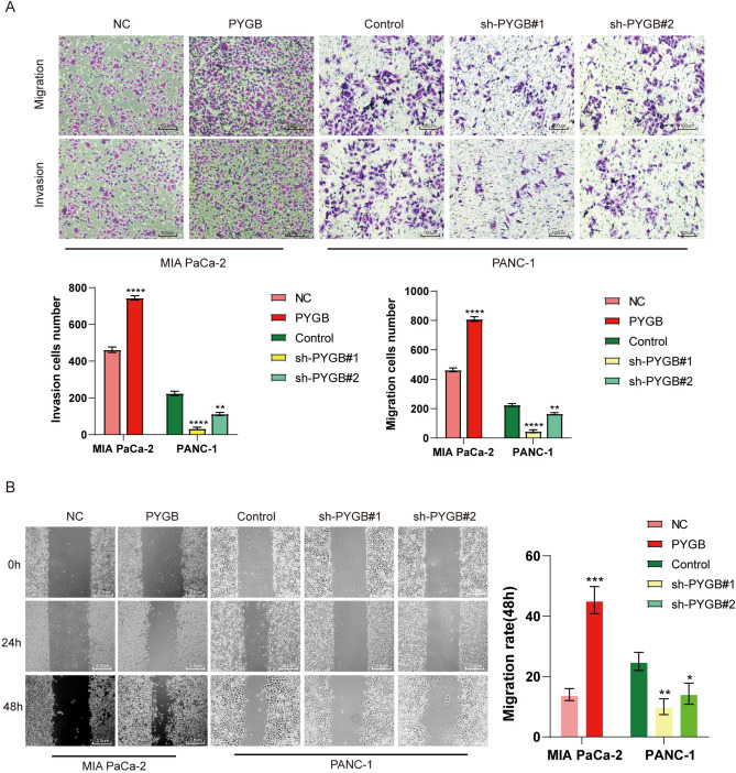 PMC10940407 – Fig9