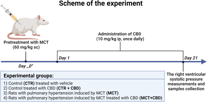 PMC11016513 – Fig1