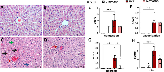 PMC11016513 – Fig2