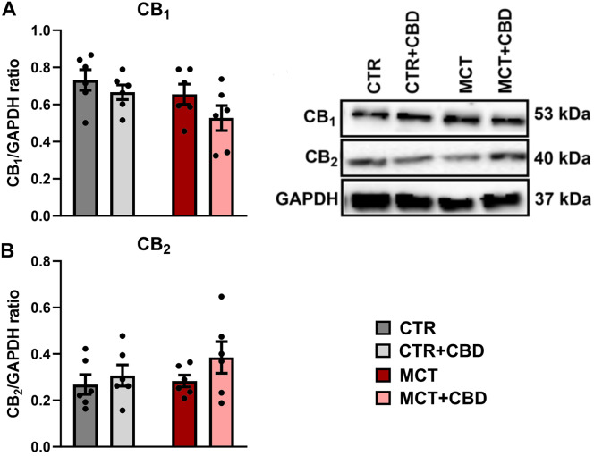 PMC11016513 – Fig4