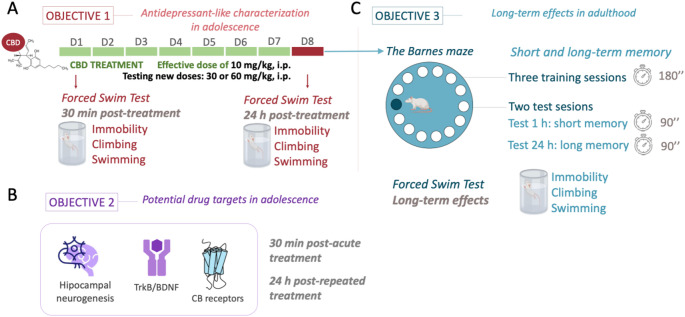 PMC12241299 – Fig1