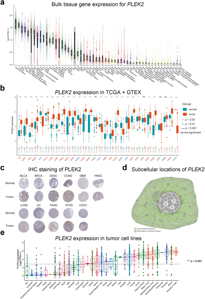 PMC11568116 – Fig1