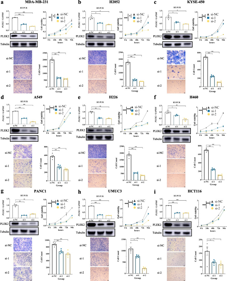 PMC11568116 – Fig7