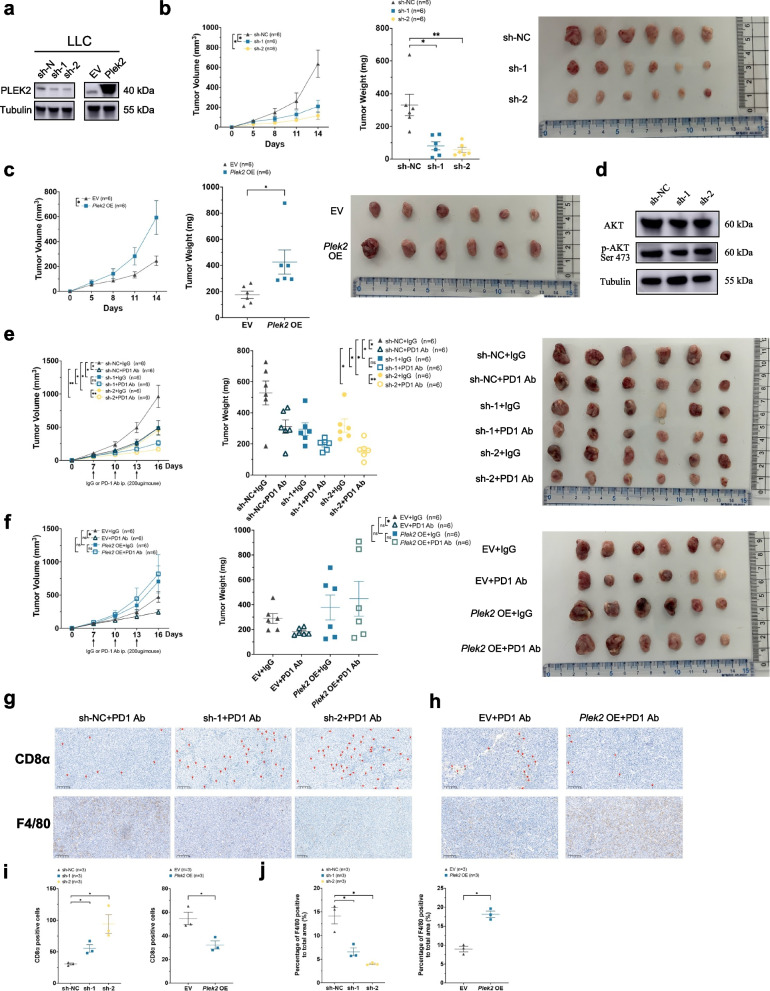 PMC11568116 – Fig8