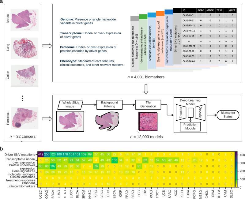 PMC10942985 – Fig1
