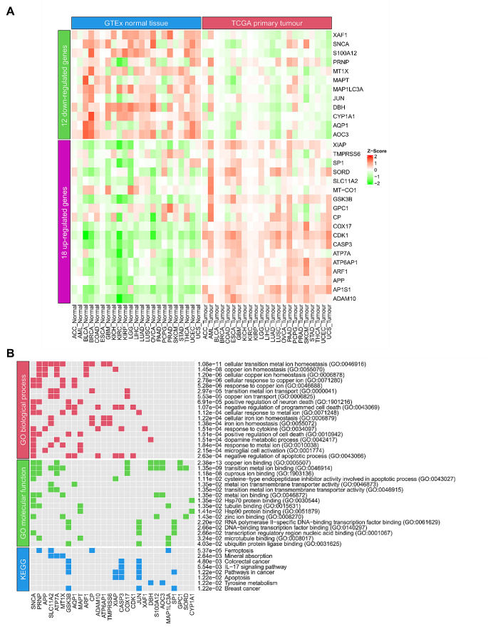 PMC11485146 – Fig2