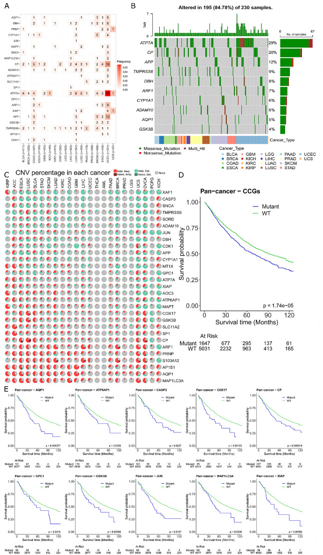 PMC11485146 – Fig5