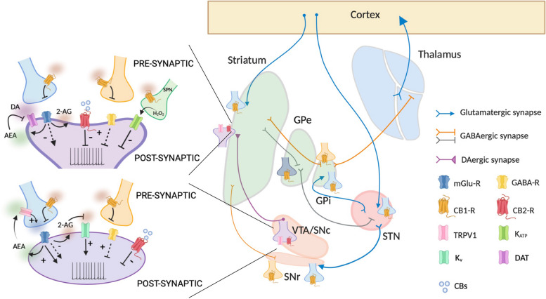 PMC11094869 – Fig1