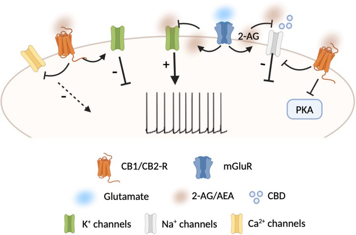 PMC11094869 – Fig2