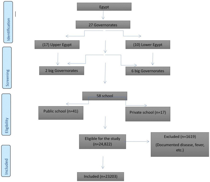 PMC12234915 – Fig1