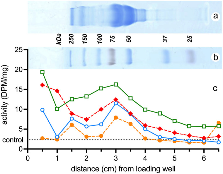 PMC11055756 – Fig6