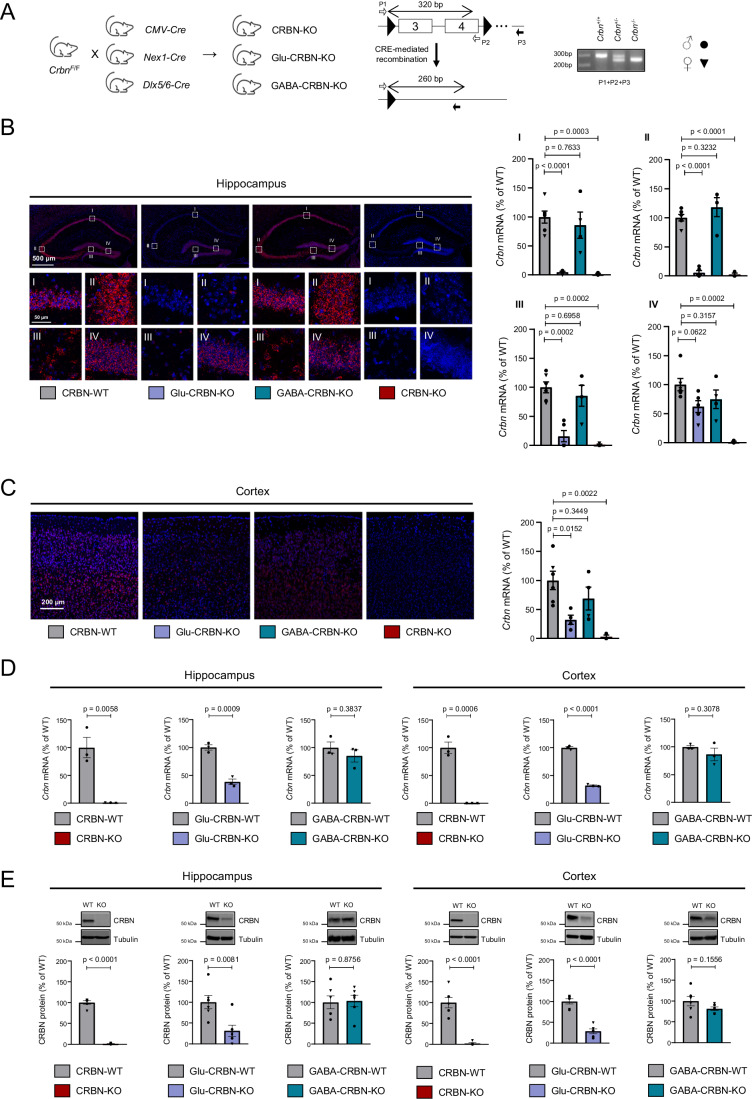 PMC11018632 – Fig1
