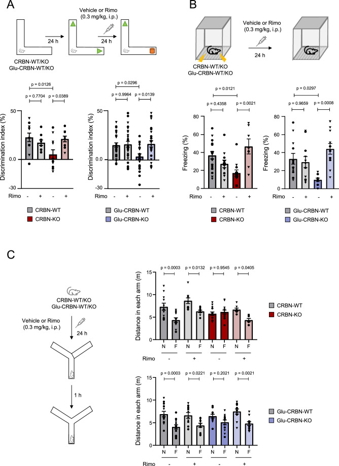 PMC11018632 – Fig6
