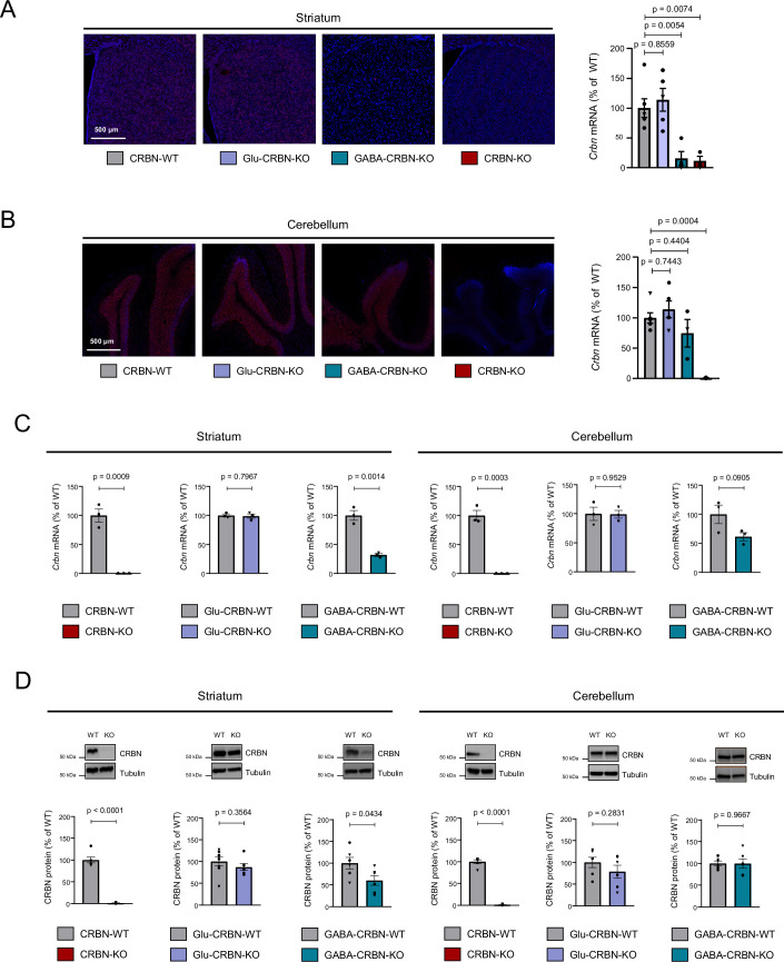 PMC11018632 – Fig7