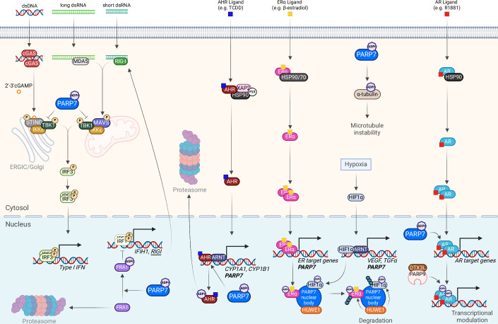 PMC12081928 – Fig2