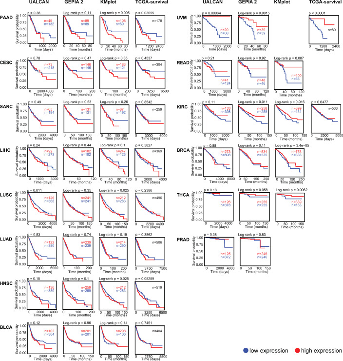 PMC12081928 – Fig4