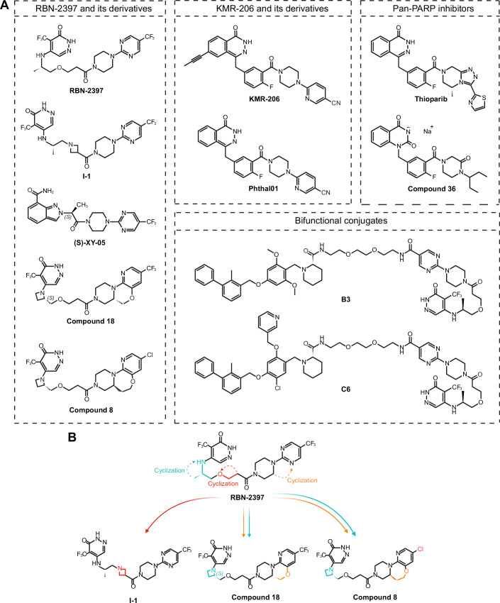 PMC12081928 – Fig5