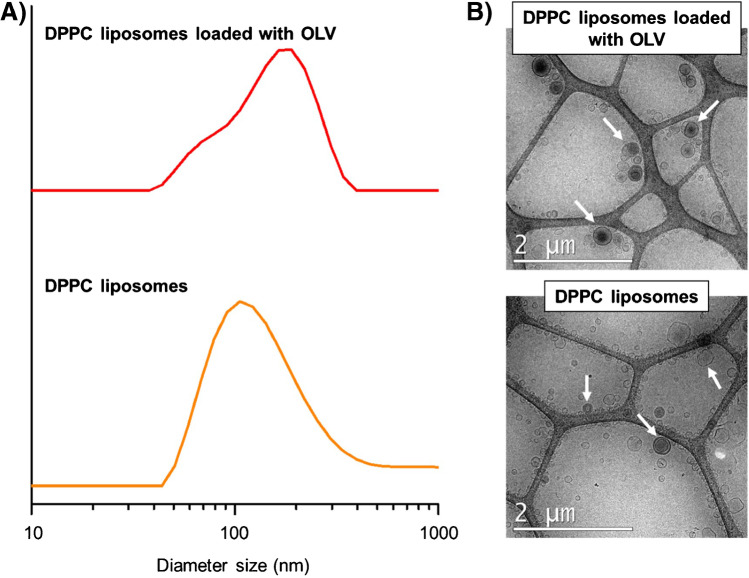 PMC9998313 – Fig2