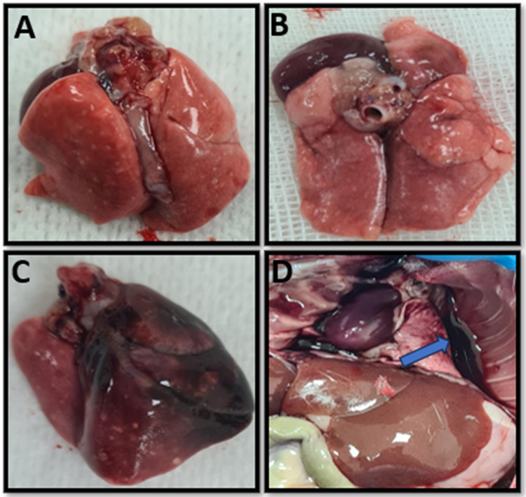 PMC11805814 – Fig3