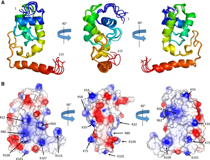 PMC5393179 – GONZALEZRNA060343F2