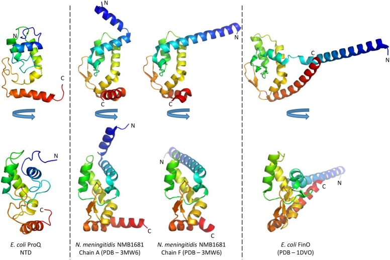 PMC5393179 – GONZALEZRNA060343F3