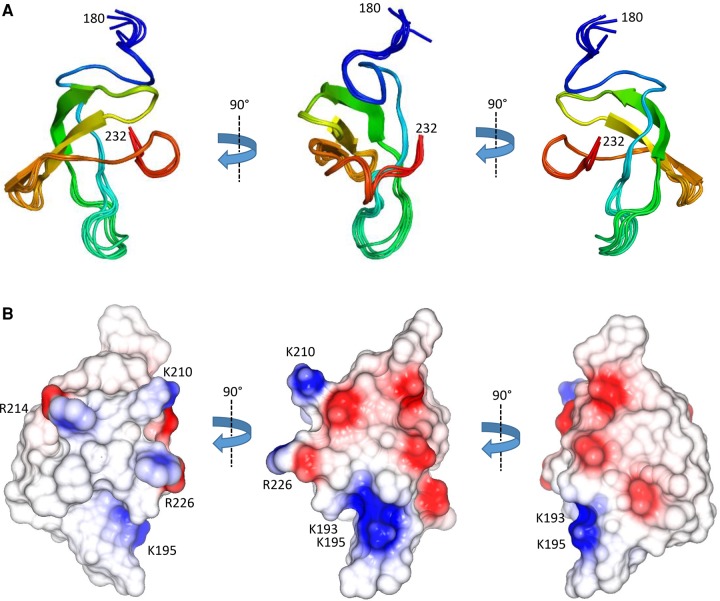 PMC5393179 – GONZALEZRNA060343F4