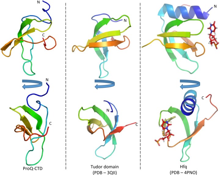 PMC5393179 – GONZALEZRNA060343F5