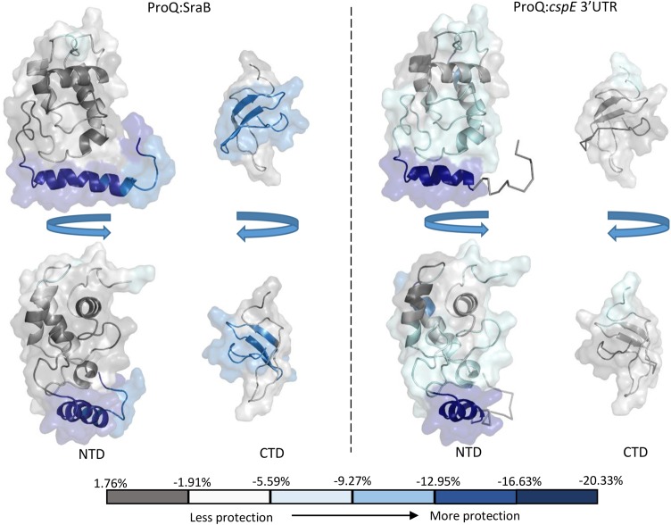 PMC5393179 – GONZALEZRNA060343F7