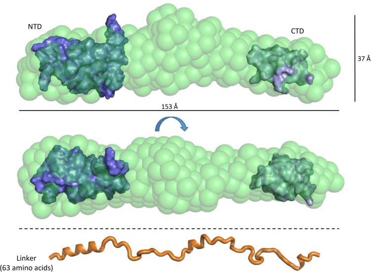 PMC5393179 – GONZALEZRNA060343F8