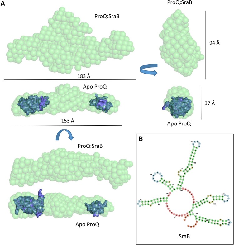 PMC5393179 – GONZALEZRNA060343F9