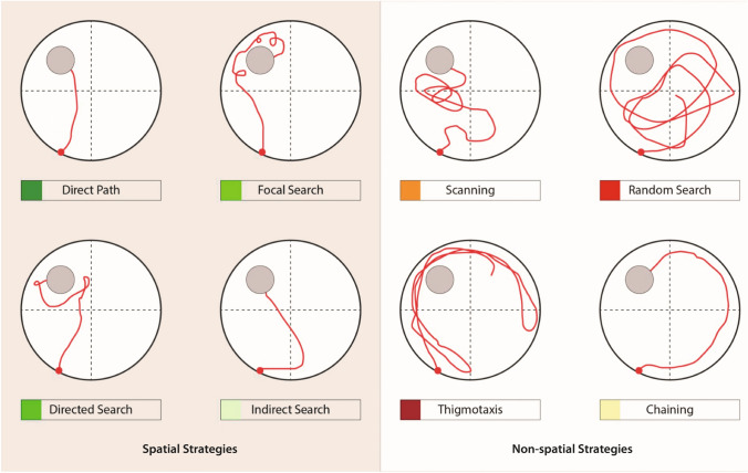 PMC10374737 – Fig2