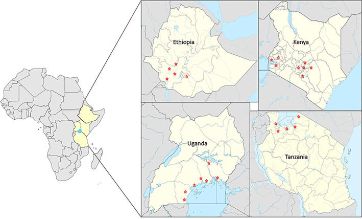PMC9293211 – aab12725-fig-0001