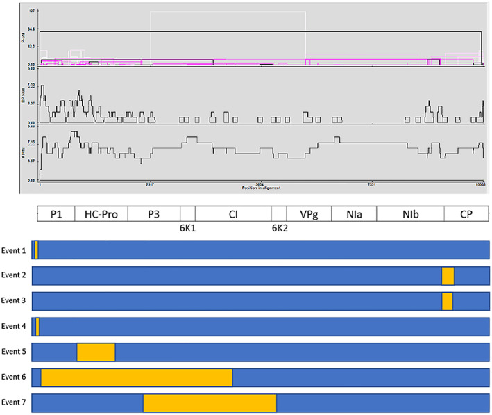 PMC9293211 – aab12725-fig-0004