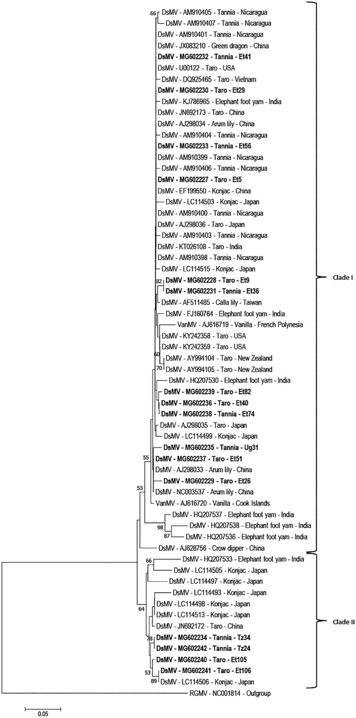 PMC9293211 – aab12725-fig-0003