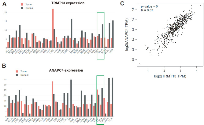 PMC11532200 – FIG1